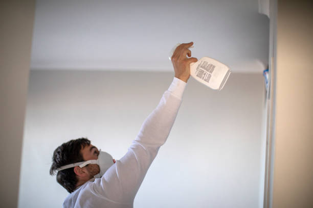 Best Residential Mold Removal  in Casselberry, FL