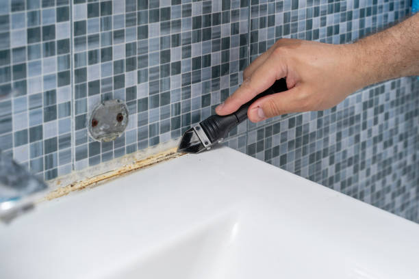 Best Mold Remediation Experts  in Casselberry, FL