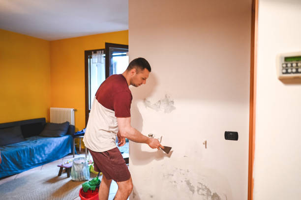 Best Office Mold Removal Services  in Casselberry, FL